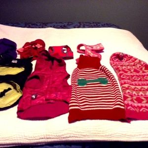 Huge Lot Dog Clothes & Accessories 12-15 lbs